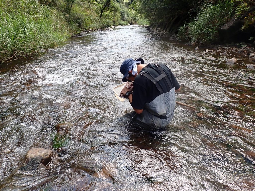 写真4　川で水生昆虫を凝視する著者（ちなみに専門は淡水魚類）